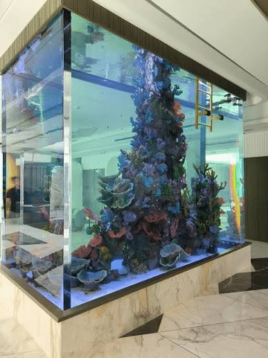 Custom Aquarium Glass Panels
